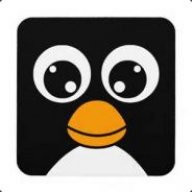 TheDerpyPenguin